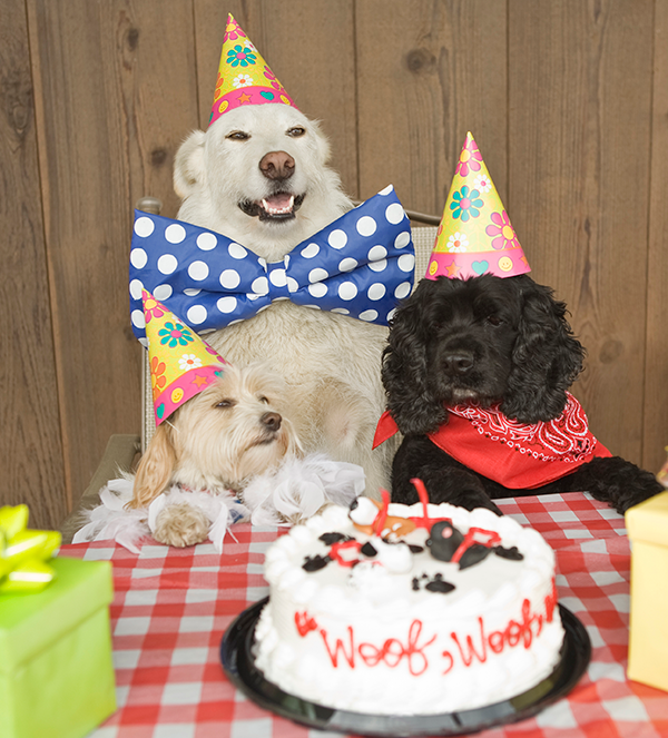 The Best And Worst Days To Have For Your Birthday